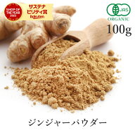 生姜パウダー 100g ジンジャーパウダー 高品質 オーガニック 無添加 (酸化防止剤不使用 抗結剤不使用 香…