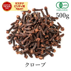 クローブ ホール 500g 最高級 オーガニック 有機JASスパイス clove 香辛料 丁子 丁香 クローブ ハーブ チャイ 送料無料 大容量 業務用 お徳用 サンタローサ