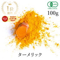 楽天第1位獲得ターメリック 有機 100g 高品質 ターメリックパウダー オーガニックサプリ 粉末 スパイス …