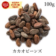 カカオ豆 100g ロースト カカオ ビーンズ 発酵カカオ豆 最高級 農薬不使用ハスク付 ビターカカオ カカオ…
