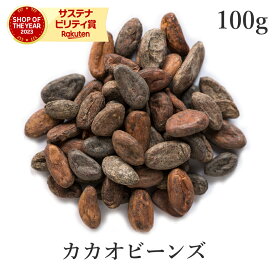 カカオ豆 100g ロースト カカオ ビーンズ 発酵カカオ豆 最高級 農薬不使用ハスク付 ビターカカオ カカオビーンズ 無添加(無薬品処理 非アルカリ処理) スーパーフード 高カカオ ポリフェノール ナッツ 製菓 ヴィーガン グルテンフリー 美容 健康 送料無料 国内製造