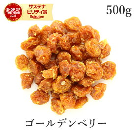 ゴールデンベリー 500g インカベリー ドライフルーツ 無添加 (酸化防止剤不使用 砂糖不使用 香料不使用 防腐剤不使用 着色料不使用 無漂白 ノンオイル) 農薬不使用食用ほおずき スーパーフード ホオズキ 非常食 保存食 防災食 避難食 備蓄 非遺伝子組み換え 大容量
