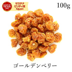 S[fx[ 100g CJx[ hCt[c Y (_h~ܕsgp sgp sgp hܕsgp Fsgp Y mIC) _sgpHpق X[p[t[