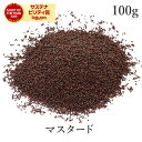 マスタードシード 100g マスタード 高品質 農薬不使用スパイス ブラウンマスタード 粒マスタード 洋芥子 カラシナ 洋…