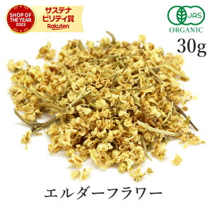 G_[t[ n[ueB[ 30g I[KjbN G_[t[eB[ L@JASjgR R[fBA Vbv n[u XpCX  T^[T