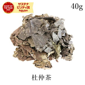  m 40g m _ Y  ig`E N 쑐 N  mJtFC _CGbg _sgp R͔|  T^[T