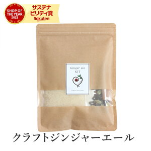 【15%OFF】 ジンジャーエール シロップ キット 無添加クラフトジンジャーエール 手作りジンジャーエール ジンジャーシロップ クラフトジンジャー 生姜シロップ 有機シナモンスティック 有機