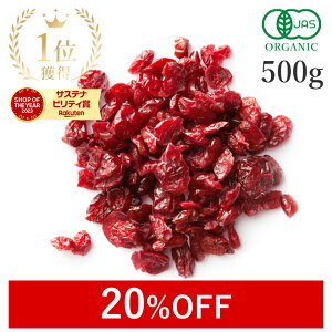 y20%OFFz yV1ʃNx[ sgp hCt[c 500g i I[KjbN L@JAShCNx[ L@Sʏ` L@Ђ܂ Y(_h~ܕsgp sgp h