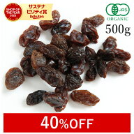 【40%OFFクーポン】 レーズン 500g オーガニック 有機レーズン 無添加 (酸化防止剤不使用 砂糖不使用 香…