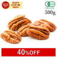 【40%OFFクーポン】 ピーカンナッツ 500g 生 ナッツ 高品質 オーガニック 無添加 (無塩 酸化防止剤不使用…