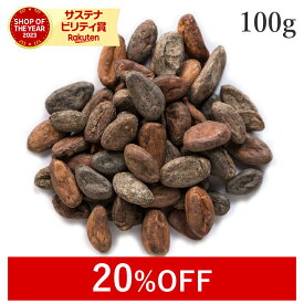 20%OFFクーポン カカオ豆 100g ロースト カカオ ビーンズ 発酵カカオ豆 最高級 農薬不使用ハスク付 ビターカカオ カカオビーンズ 無添加(無薬品処理 非アルカリ処理) スーパーフード 高カカオ ポリフェノール ナッツ 製菓 ヴィーガン グルテンフリー 美容 健康 国内製造