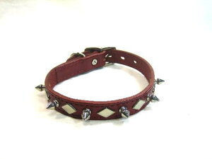 HyXpCNEJ[z@@@@k14SSl@@񋟁I