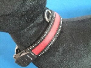 IPTyLEDցz@TCYkSl@@@񋟁I