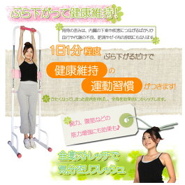 【送料無料】『ぶら下がり健康器』腰痛・肩こりスッキリ!(健康器具ぶらさがり健康器健康法全身ストレッチエクササイズ懸垂効果)