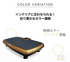 振動マシーン5分間の使用でジョギング1時間の効果!EASYCHANGE(振動マシンブルブル振動マシンエクササイズダイエット)【送料無料】