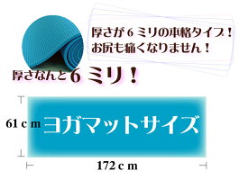 【送料無料!】【さらに専用メッシュケースをプレゼント!】厚さ6mmヨガマットクッション性抜群!!(厚さ6mmヨガマットyogamat)