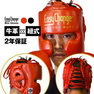 ݌ɏZ[{NVOwbhMA vdl O[[^Cv R v {v EasyChange C[W[`FW (wbhK[h LbN{NVO iZ  veN^[ )
