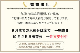 ぶら下がり健康器ぶらさがり健康器ぶら下がり器健康器具懸垂ダイエットトレーニング全身ストレッチ背筋腹筋筋トレ肩こり腰痛猫背メタボ対策送料無料Easychange