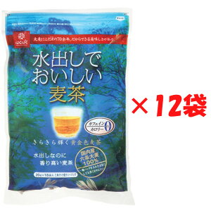 1P[X ͂΂ oł 20g×18×12Zbg