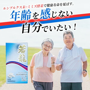 y włI z s ؂Ȃ̏! t ǔN ᗴ 120 uNX tF_ Tvg DHA clQ ނ    P Tv DHA ǂ  T