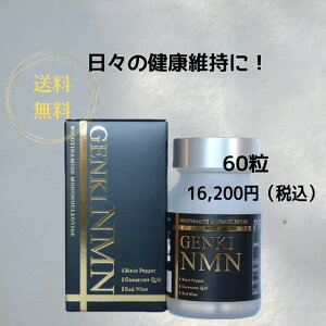 �y GENKI NMN �z nmn �T�v�������g ���{�� ���^ NMN �����x 9000mg �o�C�I�y���� pqq �R�G���U�C��q10 q10 �T�v�� ���� NMN ���C ���X�x���g���[�� NWN nad+ �R�G���U�C��Q10 �T�v�� ���X�x���g���[�� �T�v��