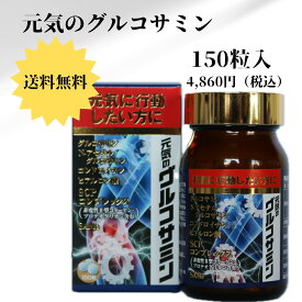 【 定期購入でお得！ 】 関節痛 サプリメント グルコサミン コンドロイチン ヒアルロン酸 プロテオグリカン N-アセチルグルコサミン 膝 サプリ 元気 ヒアルロン酸 グルコサミン プロテオグリカン サプリ プロテオグリカン グルコサミン コンドロイチン 非変性2型コラーゲン