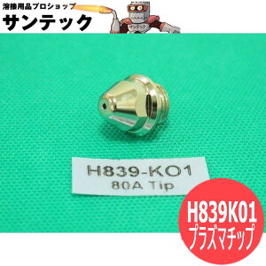 y/14zD-12000p vY}`bv 80Ap 5 H839K01 g[L ATTC(American Torch Tip)