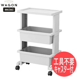 yCgO[zCg/~jTCYzZX^C RpNg c[{bNX 3ie[uS c[XgbJ[ gݗĎ