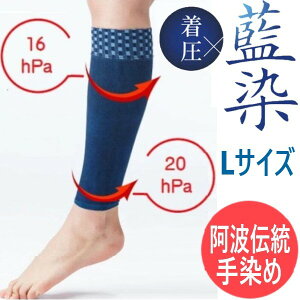 yLTCYzg`  ӂ͂T|[^[ Wpu[×s ނ   St WMO X|[c XgbLO r bOEFA {