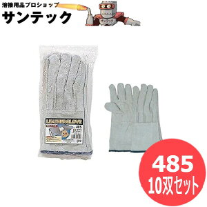 ӂ ȏn 5{wv 10oZbg 485