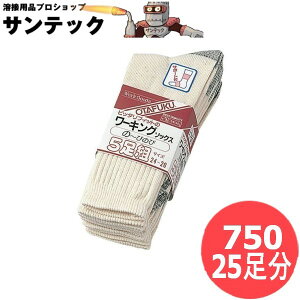 ӂ tBbg[LO\bNX  25 (5g×5Zbg) Li Ɓ@C@\bNX 750