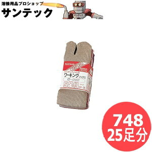 ӂ tBbg[LO\bNX ^r^ 25 (5g×5Zbg) J[ Ɓ@C@\bNX 748