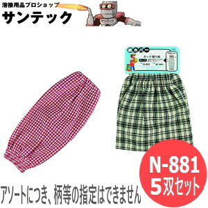 ӂ rJo[^bN D蕿 5oZbg ߗ@ی N-881