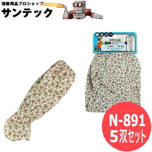 ӂ rJo[bt ԕ 5oZbg ߗ@ی N-891