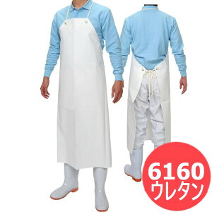 ӂ E^O| t ߗ@ی 6160