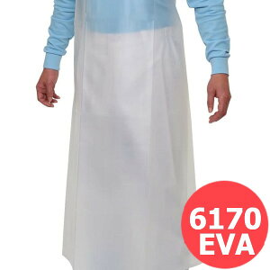 ӂ EVAO| t ߗ@ی 6170