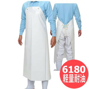 ӂ yʑϖO| t ߗ@ی 6180