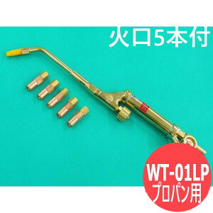 ���^�K�X�n�ڊ� WT-01LP �Ό�5�{�t �_�f�E�v���p���p ������쏊