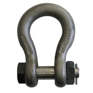 �V���b�N��(�o�E�^�C�v) �� BB-10(���b�L�Ȃ�) 1000914 ��m����H�� TAIYO