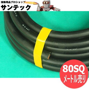 y/=[gP/80sqznڗpLv^CP[u/Lu^CP[u n P[u WCT80 d