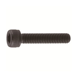 TRUSCO B30-0203 Zpt{g  SlW M2×3 31{ /Lbv{g(CAP) [213-0611]