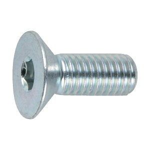 TRUSCO ZptM{g O SlW M6×10 21{ B773-0610 [300-2217]