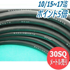 y/14zy/=[gP/30sqznڗpLv^CP[u/Lu^CP[u n P[u WCT30 d
