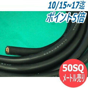 y/=[gP/50sqznڗpLv^CP[u/Lu^CP[u n P[u WCT50 d