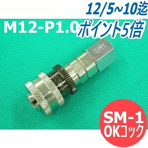 AS^CO2KXp^b`p藬ʌvop\Pbg OKRbN SM-1(M12-P1.0) }gY