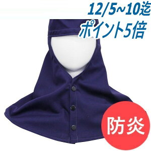 yAJhKiNFPA2112KzVۃOcoȂ lCr[(LLF65cmE48cm) GNH-2111 n Sی 咆Y