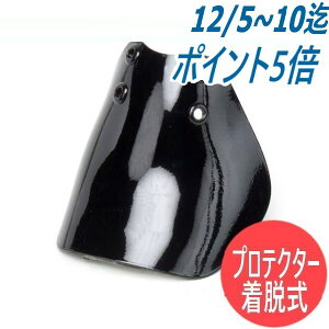 ؈SC veN^ EiA~j AP-2 Z[teB[u[c Z[teB[V[Y ƌC