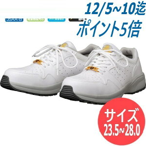 yTCY:23.5`28.0zhP JSAA-BFi(veNeBuXj[J[) ÓdCѓdh~C SD-11 v Z[teB[u[c Z[teB[V[Y ƌC Ռz ƏՌz y