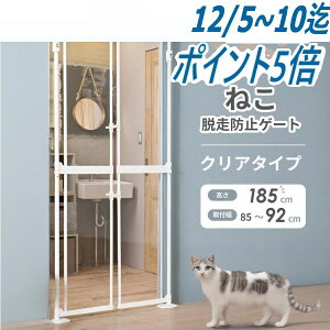 yȊO//12zyiȂzWanyanya 񂿂 ˂ ybgEh~Q[g ɂhA Nh~ tFX oAt[  L NA