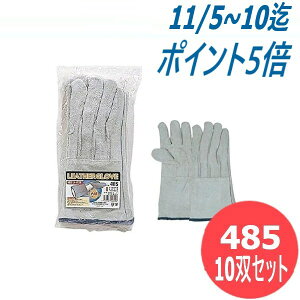 ӂ ȏn 5{wv 10oZbg 485